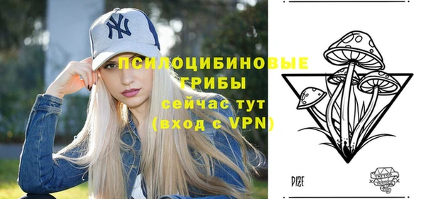 прущая мука Белоозёрский