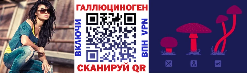 Псилоцибиновые грибы Cubensis  Обь 